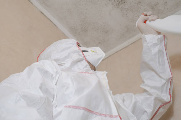 Best Mold Remediation for Specific Building Types in Lovington, IL